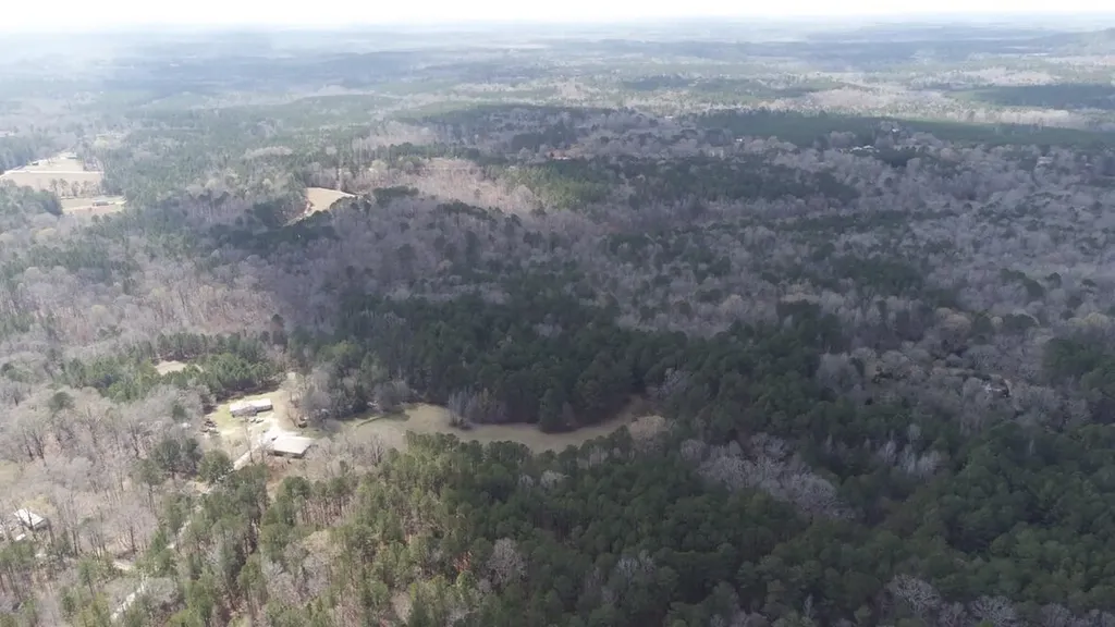 27.2 Ac John Lewis Drive Lincolnton GA 30817