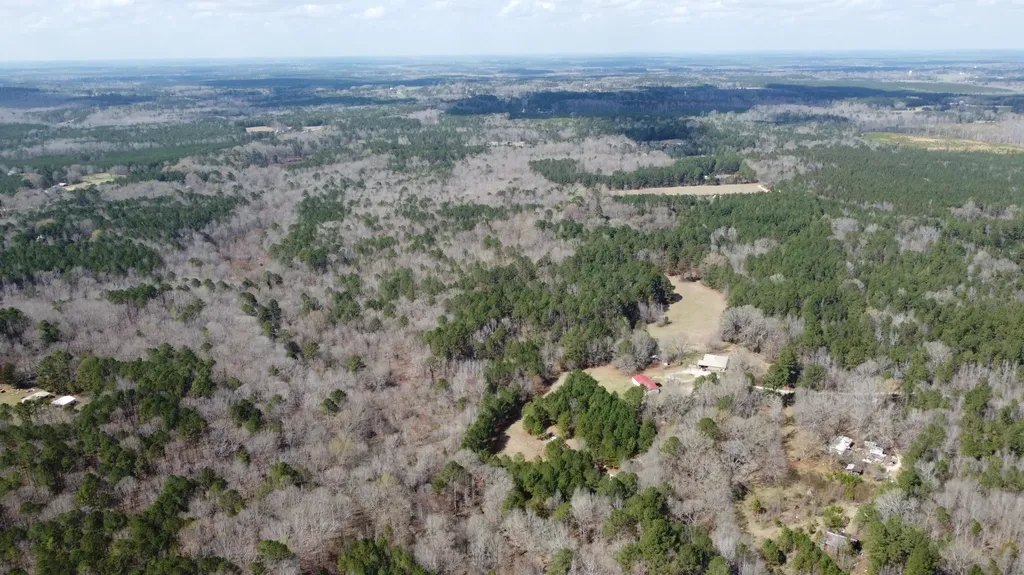 27.2 Ac John Lewis Drive Lincolnton GA 30817