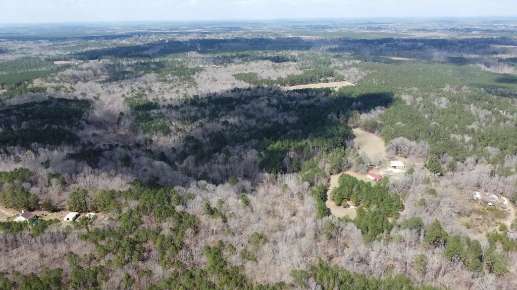 27.2 Ac John Lewis Drive Lincolnton GA 30817