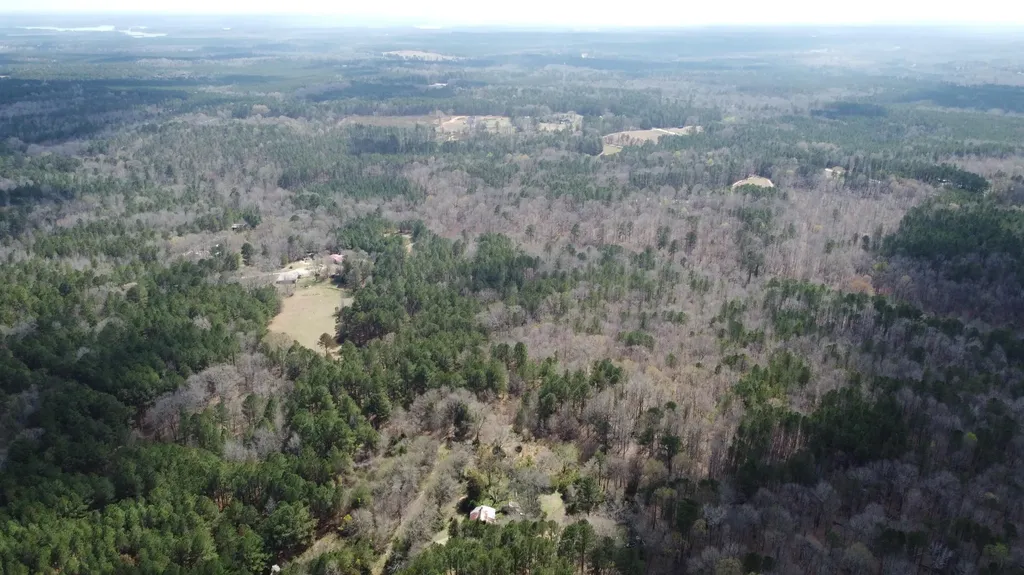 27.2 Ac John Lewis Drive Lincolnton GA 30817