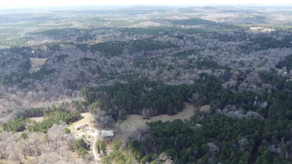 27.2 Ac John Lewis Drive Lincolnton GA 30817