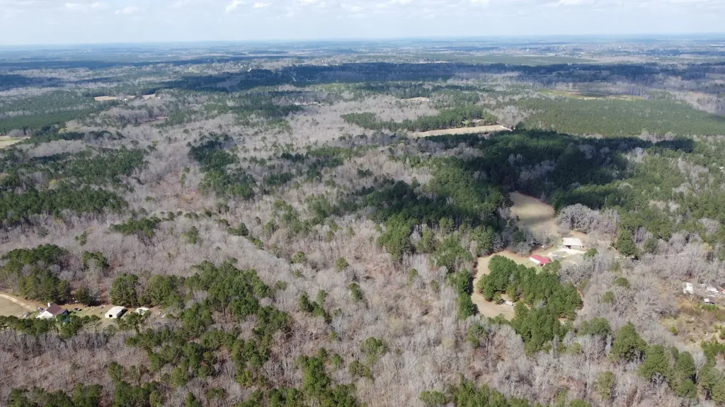 27.2 Ac John Lewis Drive Lincolnton GA 30817