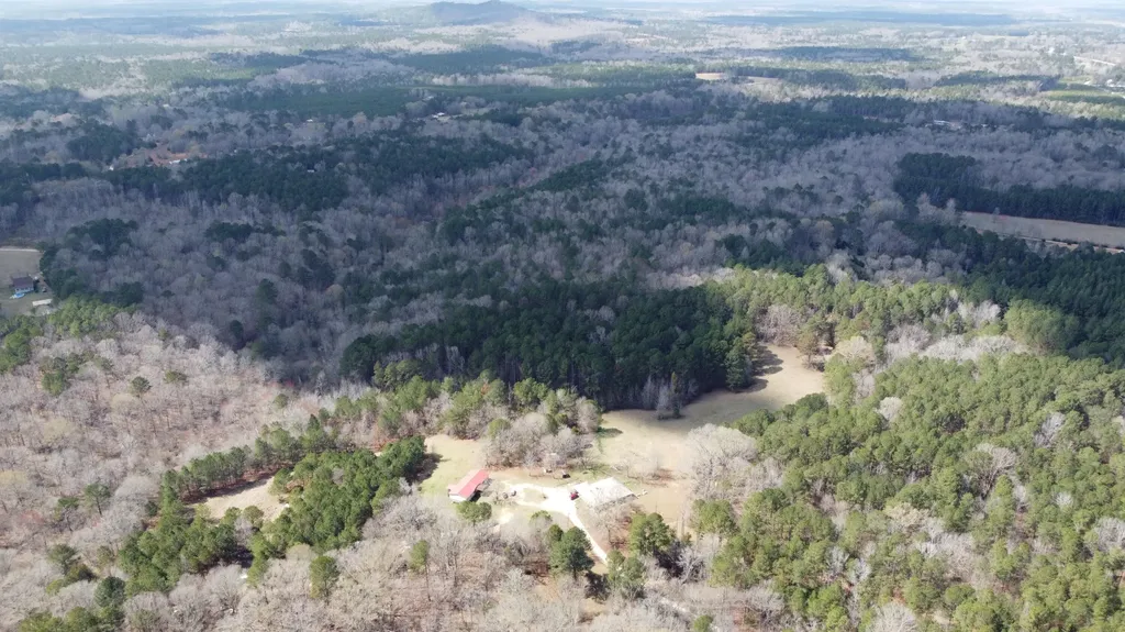 27.2 Ac John Lewis Drive Lincolnton GA 30817