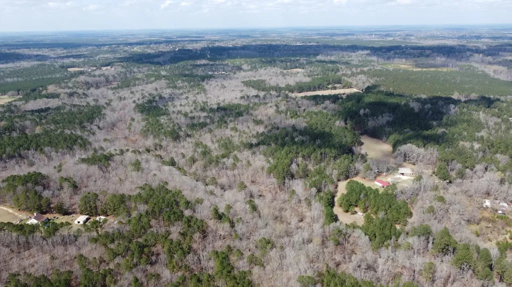27.2 Ac John Lewis Drive Lincolnton GA 30817