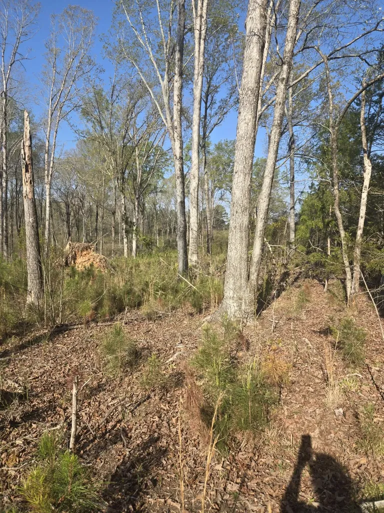 0 Mercier Road Lincolnton GA 30817
