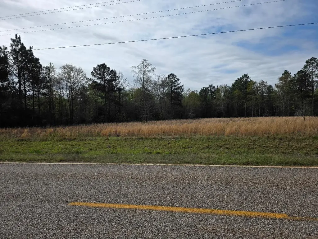 0 E Four Points Road Keysville GA 30815