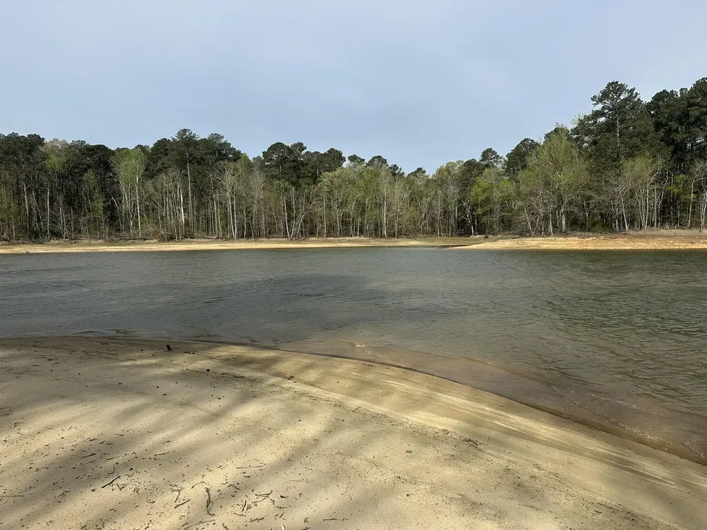 Lot 65 Maiden Cane Way Lincolnton GA 30817