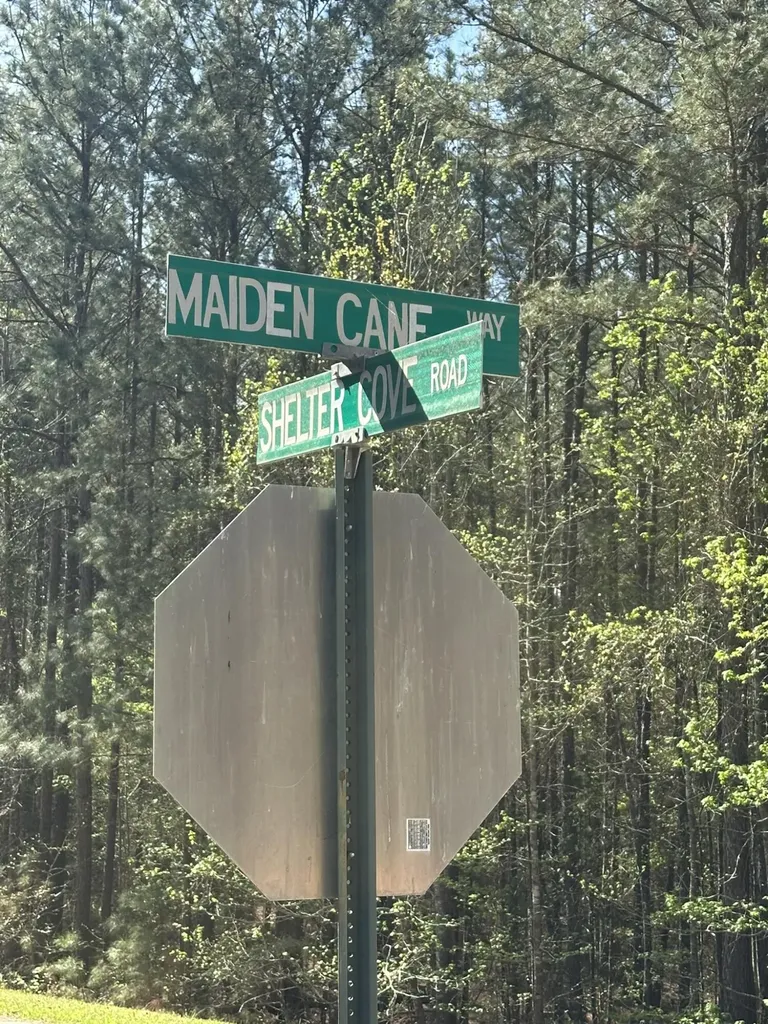 Lot 65 Maiden Cane Way Lincolnton GA 30817