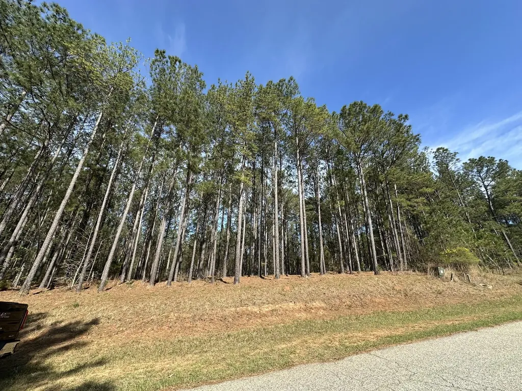 Lot 65 Maiden Cane Way Lincolnton GA 30817