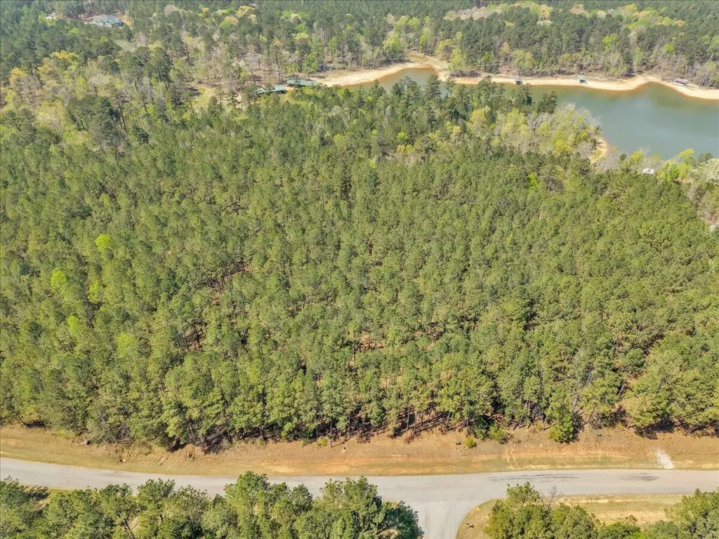 Lot 65 Maiden Cane Way Lincolnton GA 30817