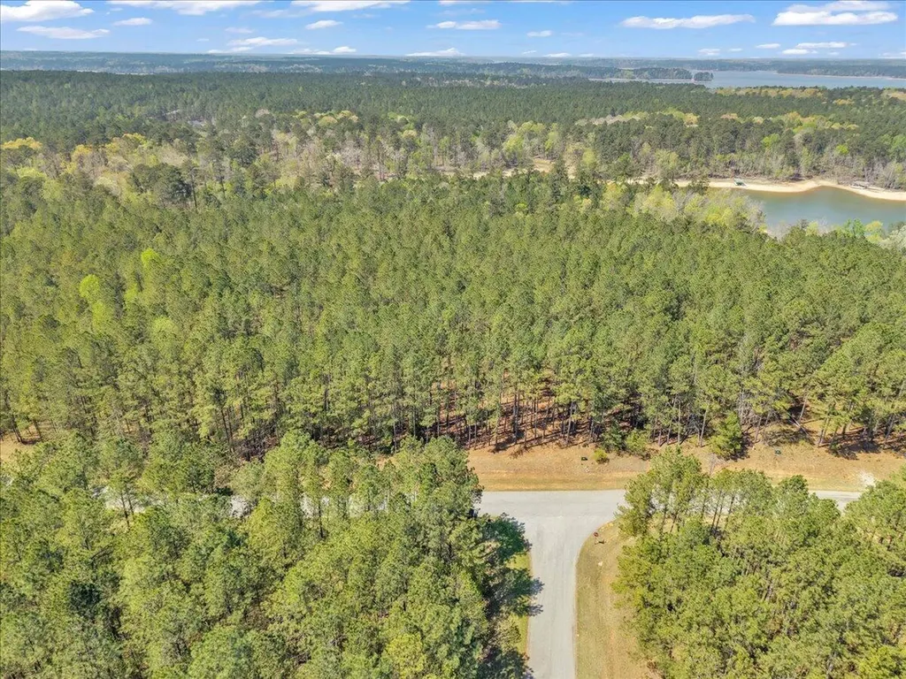 Lot 65 Maiden Cane Way Lincolnton GA 30817