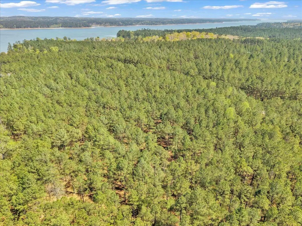 Lot 65 Maiden Cane Way Lincolnton GA 30817