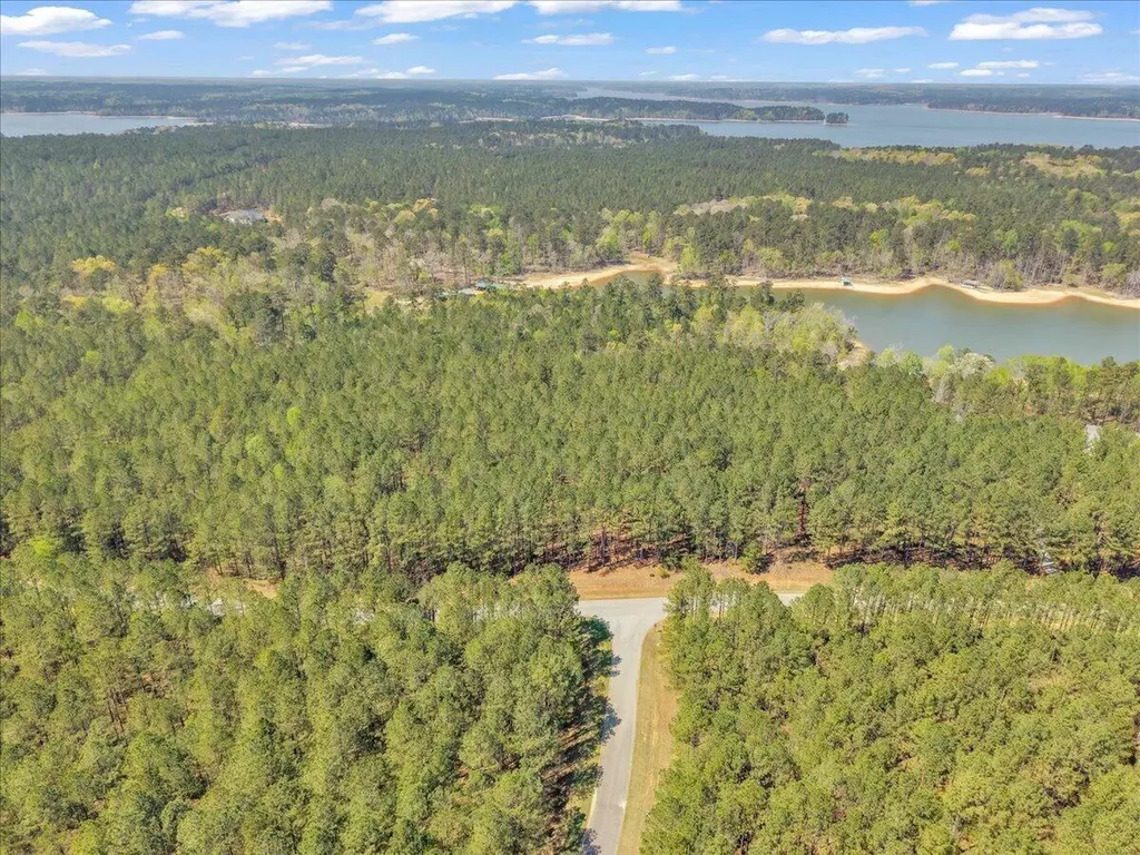 Lot 65 Maiden Cane Way Lincolnton GA 30817