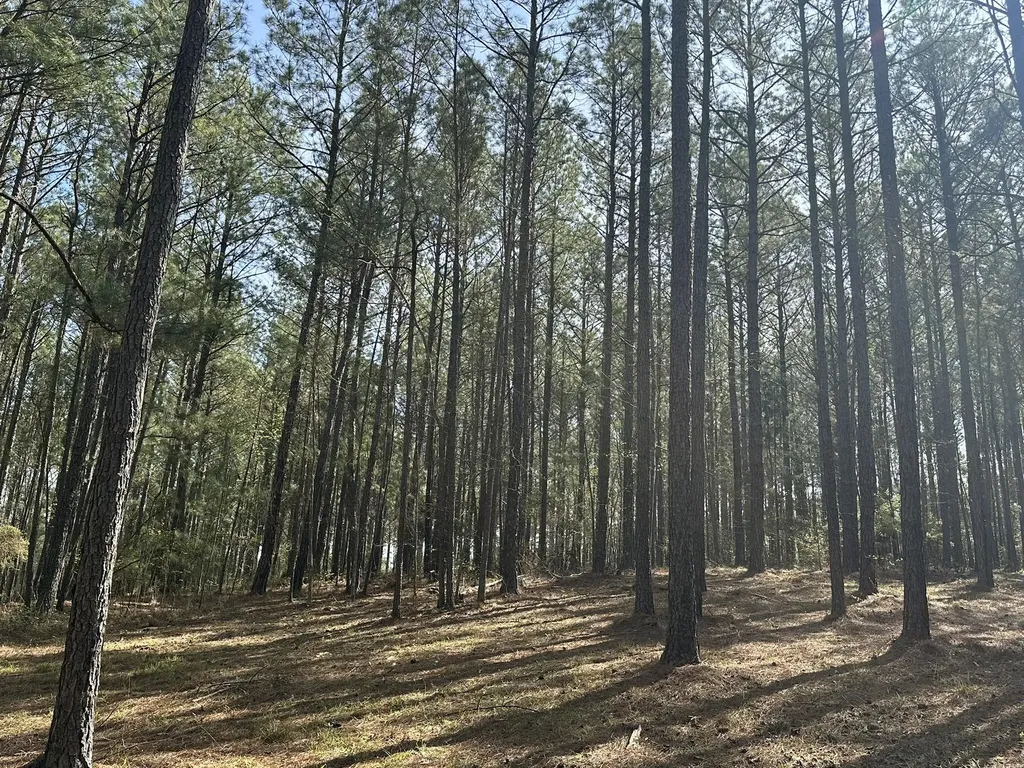 Lot 65 Maiden Cane Way Lincolnton GA 30817