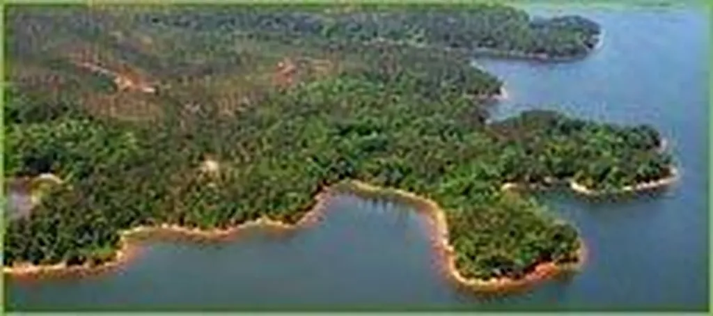 Lot 65 Maiden Cane Way Lincolnton GA 30817