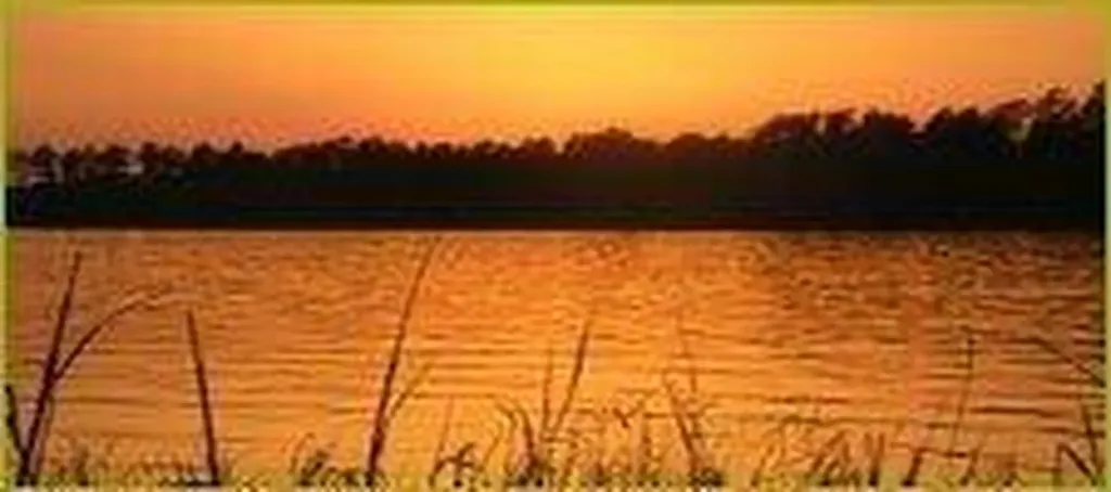 Lot 65 Maiden Cane Way Lincolnton GA 30817