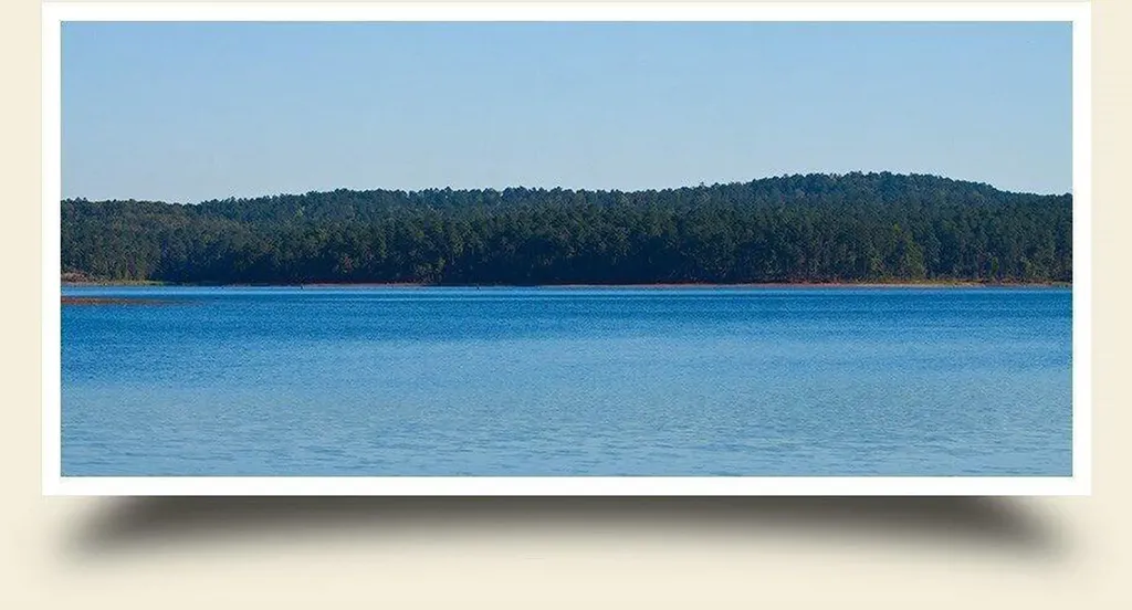 Lot 65 Maiden Cane Way Lincolnton GA 30817