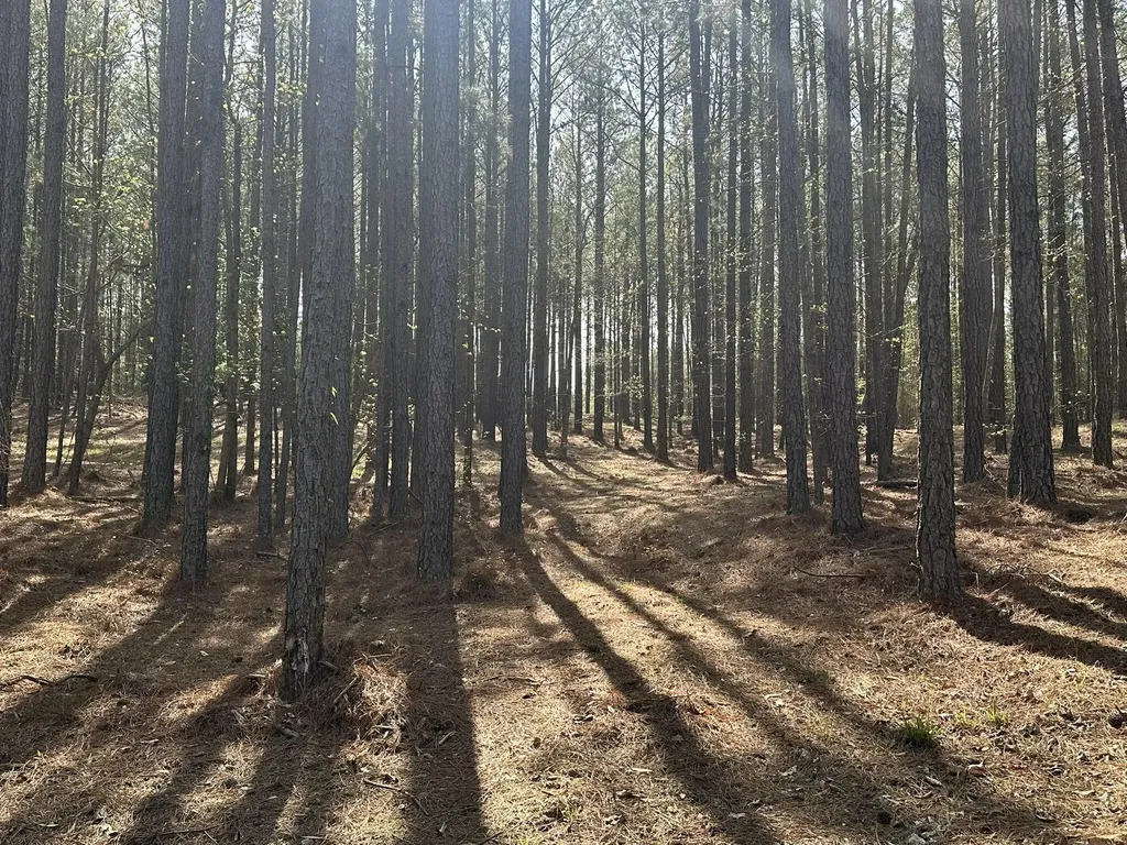 Lot 65 Maiden Cane Way Lincolnton GA 30817
