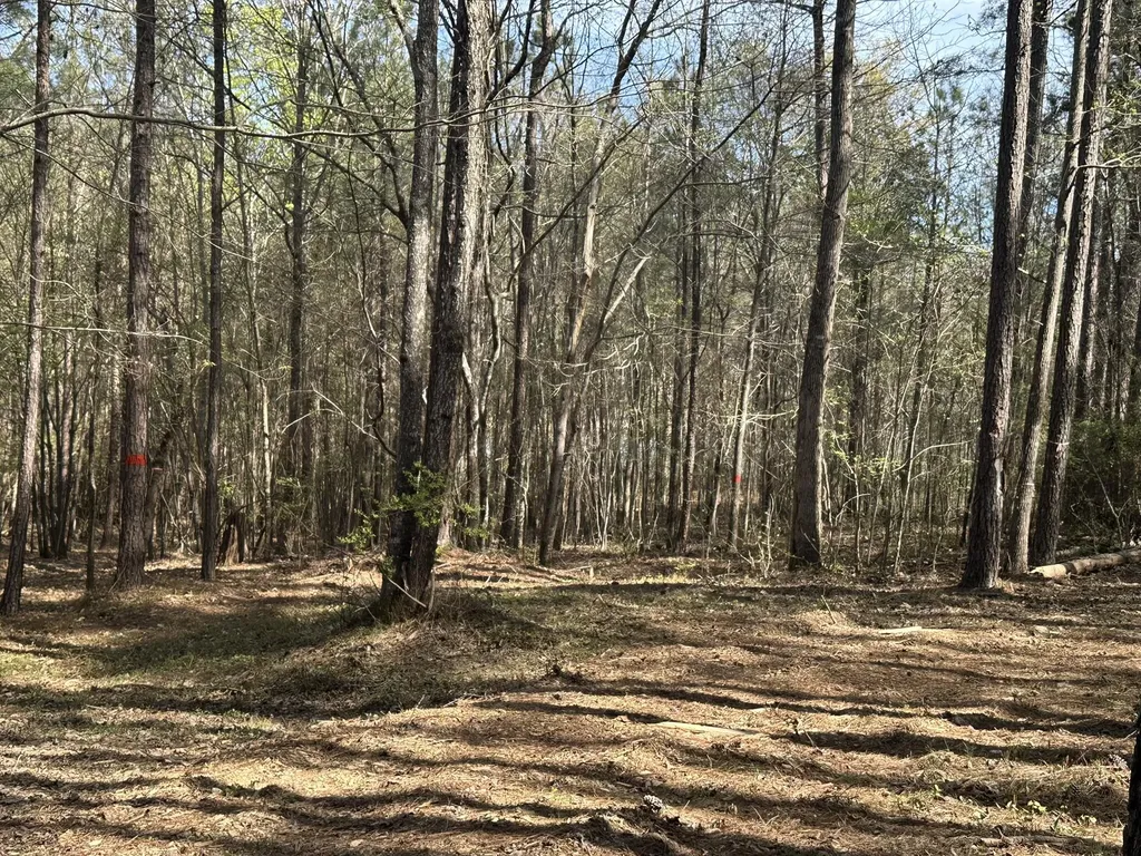 Lot 65 Maiden Cane Way Lincolnton GA 30817