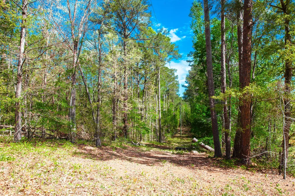 Lot 3 Smith Crawford Road Thomson GA 30824