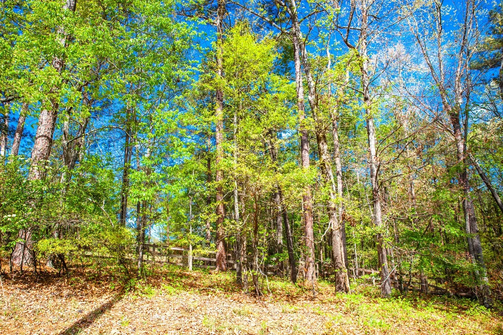 Lot 3 Smith Crawford Road Thomson GA 30824