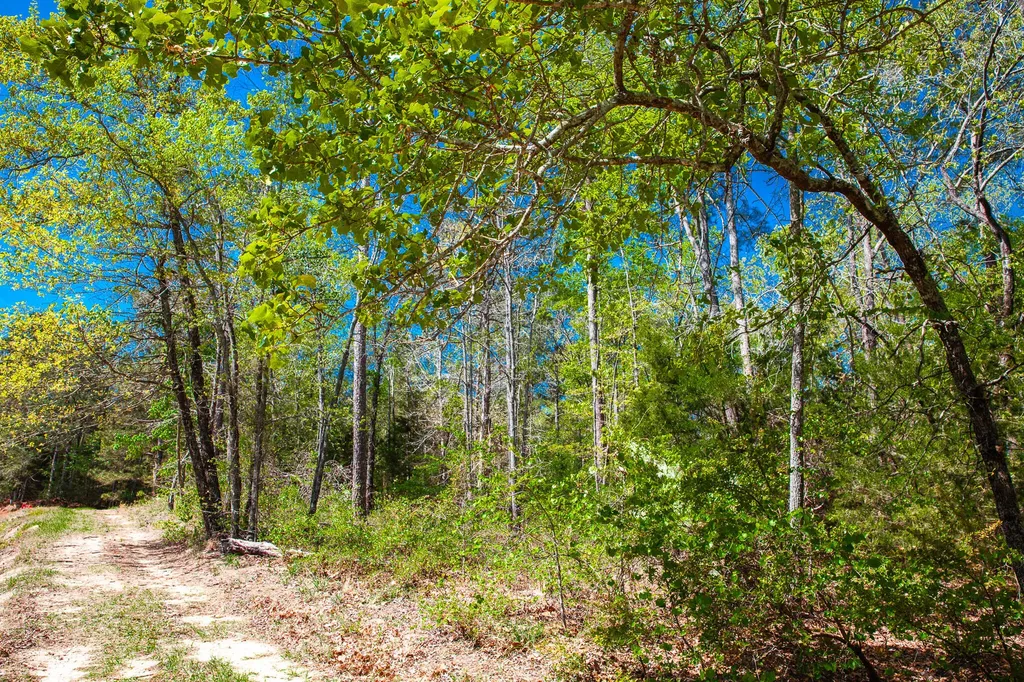 Lot 3 Smith Crawford Road Thomson GA 30824