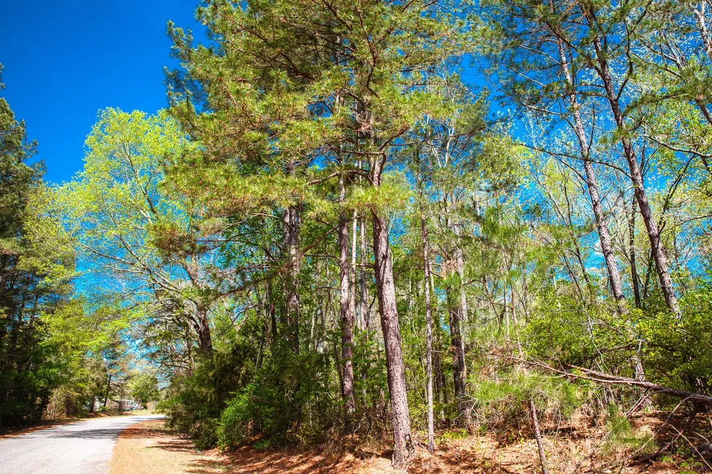Lot 3 Smith Crawford Road Thomson GA 30824