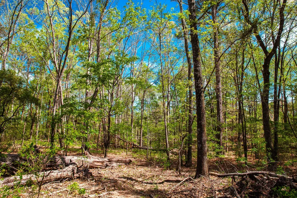 Lot 3 Smith Crawford Road Thomson GA 30824