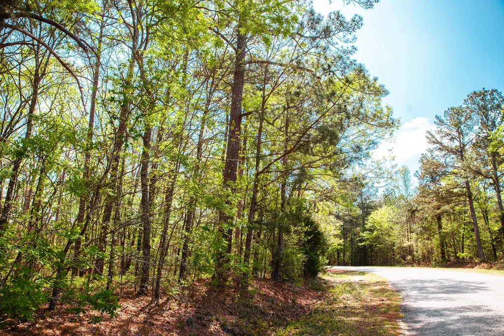 Lot 3 Smith Crawford Road Thomson GA 30824