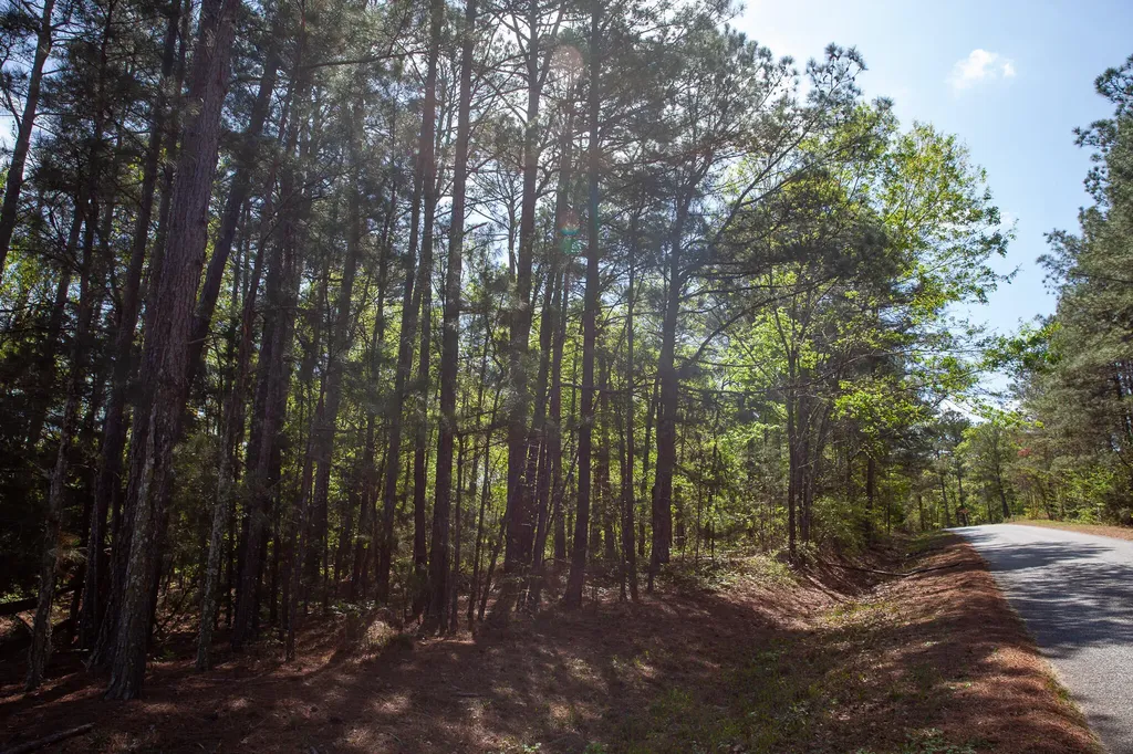 Lot 3 Smith Crawford Road Thomson GA 30824