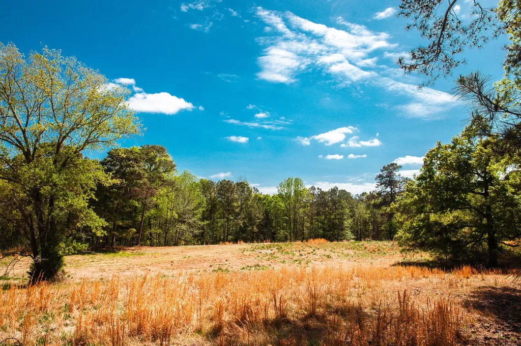 Lot 3 Smith Crawford Road Thomson GA 30824