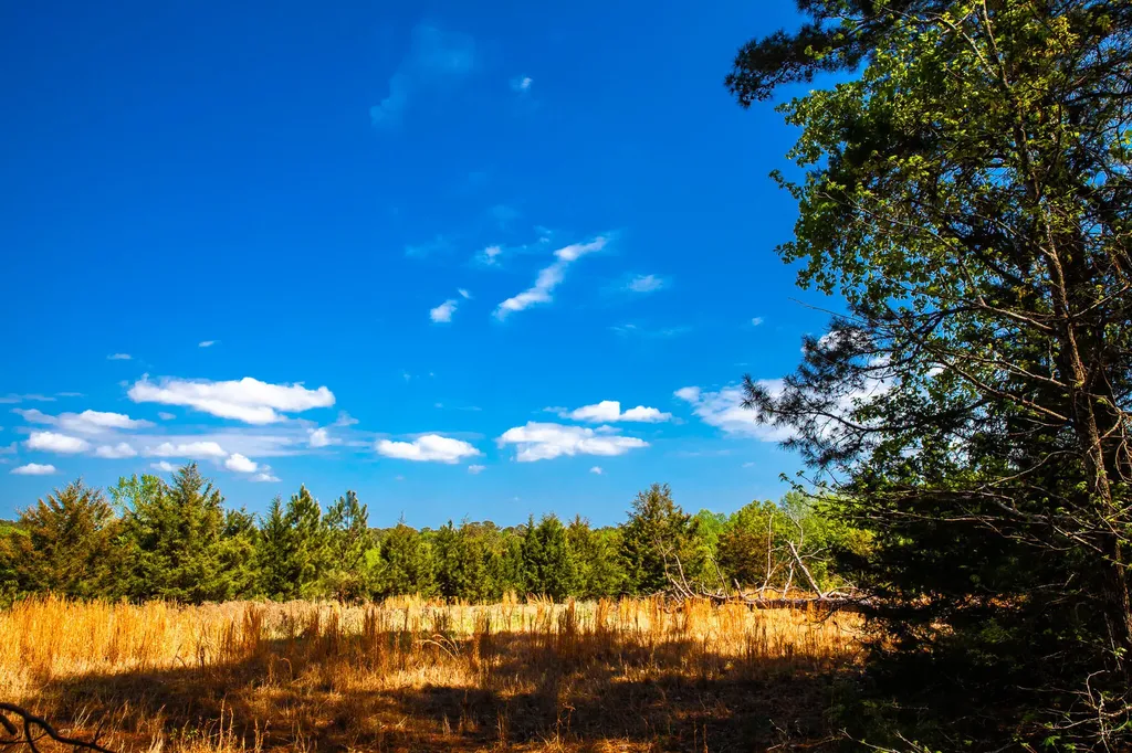 Lot 3 Smith Crawford Road Thomson GA 30824