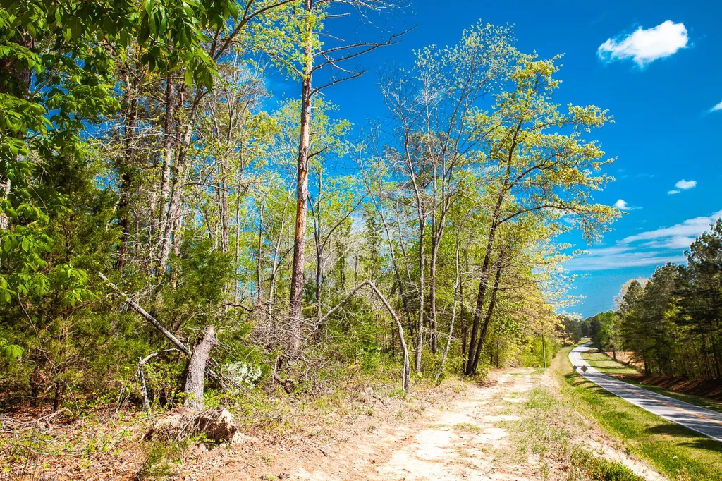 Lot 3 Smith Crawford Road Thomson GA 30824