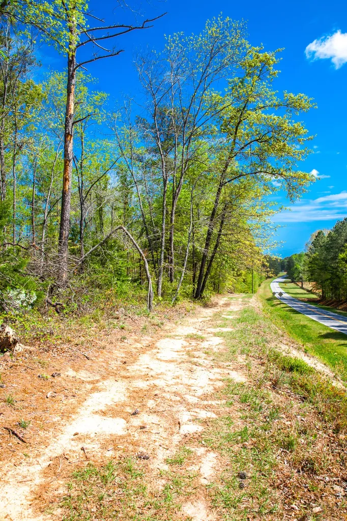 Lot 3 Smith Crawford Road Thomson GA 30824