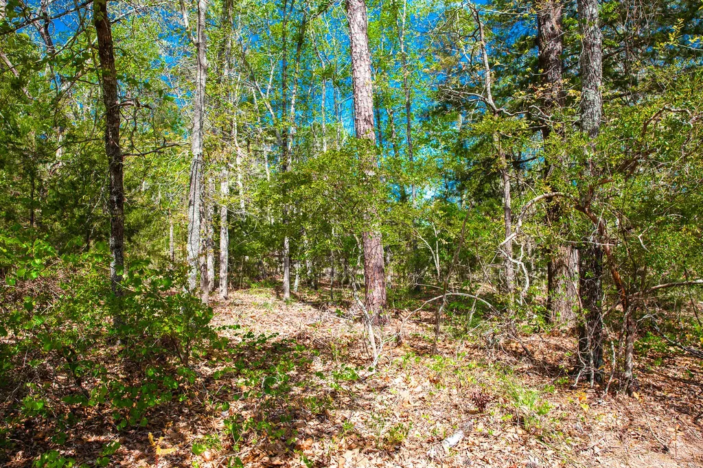 Lot 3 Smith Crawford Road Thomson GA 30824