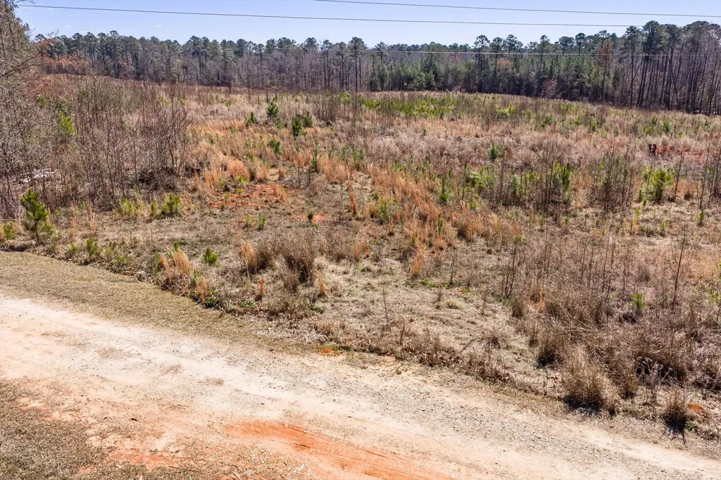 0 Chamberlain S Ferry Road Lincolnton GA 30817