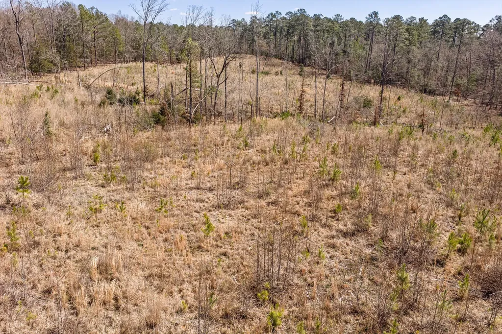 0 Chamberlain S Ferry Road Lincolnton GA 30817