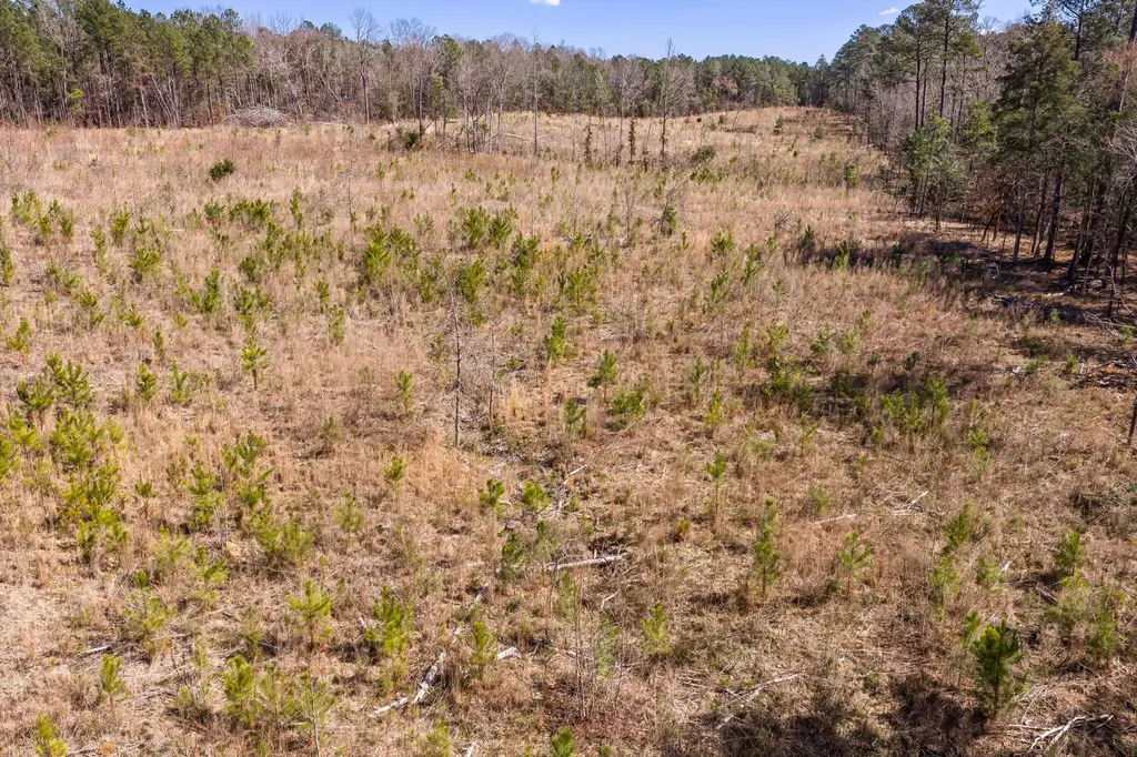 0 Chamberlain S Ferry Road Lincolnton GA 30817