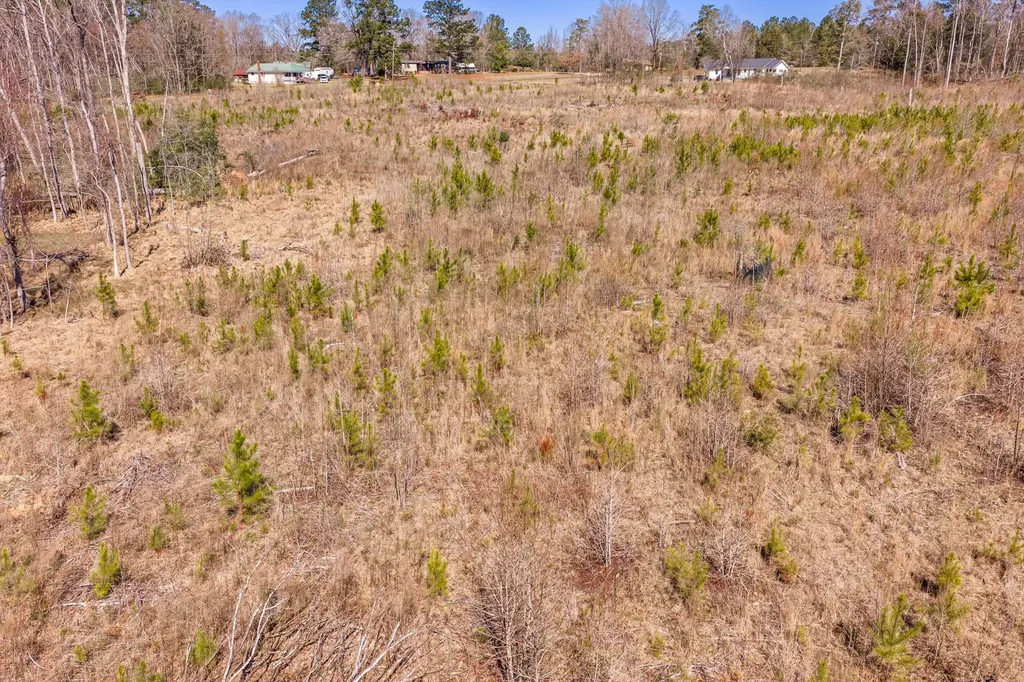 0 Chamberlain S Ferry Road Lincolnton GA 30817