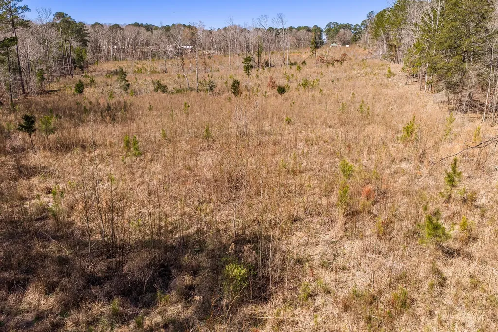 0 Chamberlain S Ferry Road Lincolnton GA 30817