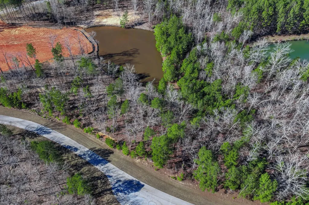 1137 Sally Ann Court Lincolnton GA 30817