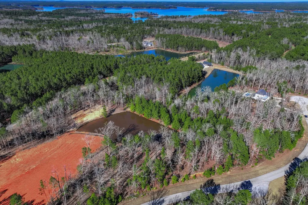 1137 Sally Ann Court Lincolnton GA 30817