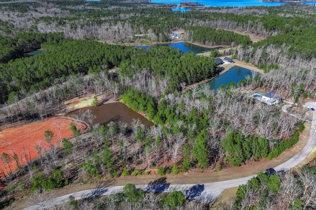 1137 Sally Ann Court Lincolnton GA 30817