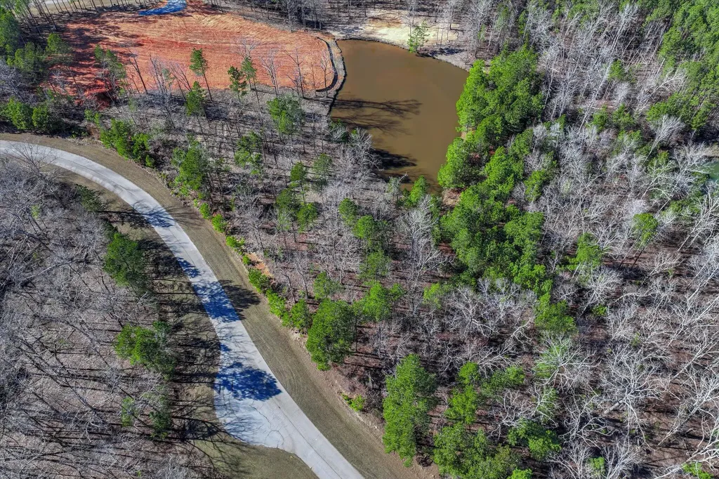 1137 Sally Ann Court Lincolnton GA 30817