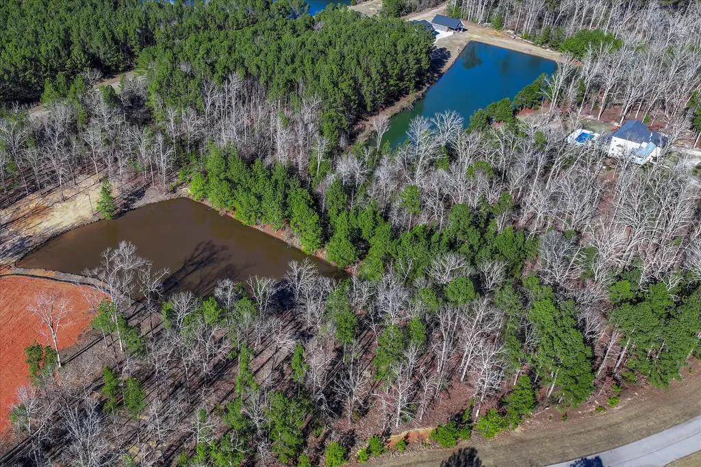 1137 Sally Ann Court Lincolnton GA 30817