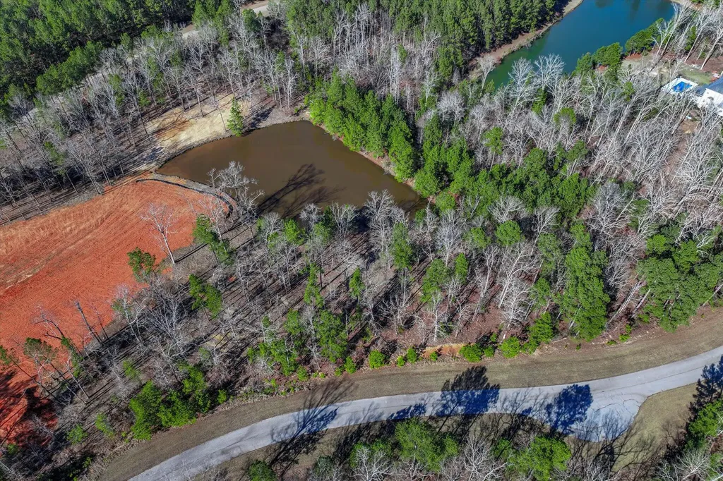 1137 Sally Ann Court Lincolnton GA 30817