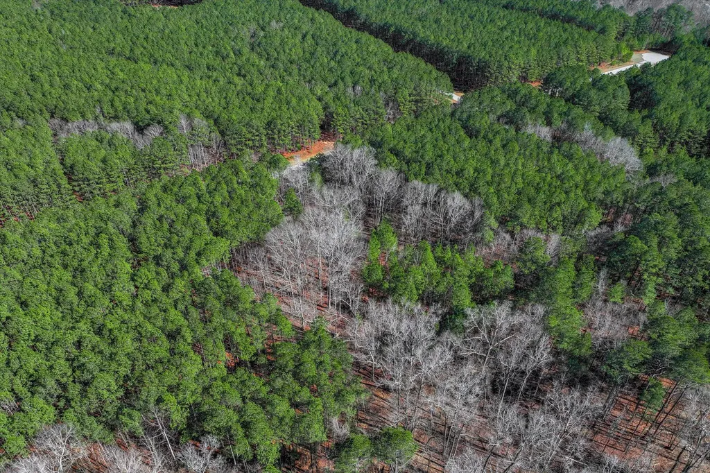 1154 Hardwood Drive Tignall GA 30668