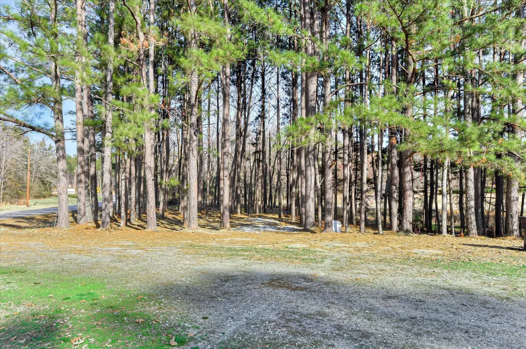 136 Edison Road Washington GA 30673
