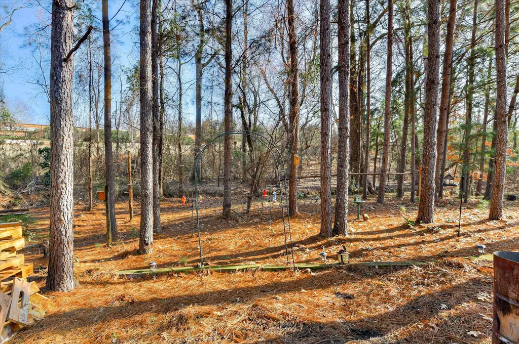 136 Edison Road Washington GA 30673
