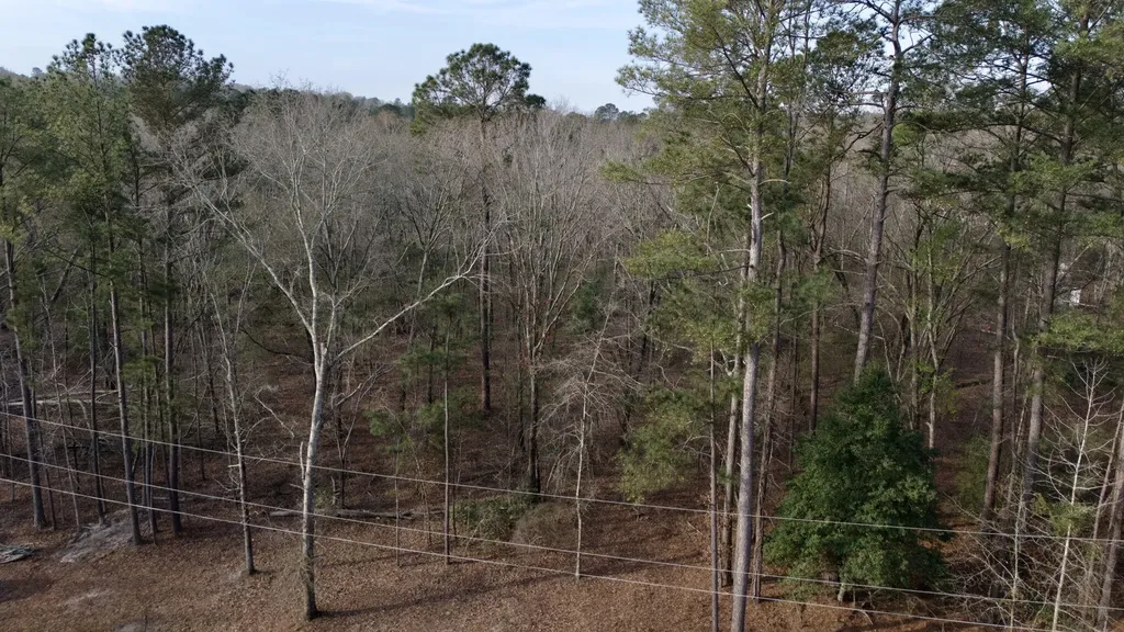 2612 Patterson Bridge Road Hephzibah GA 30815